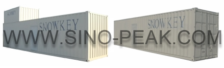 Combinated Freight Container